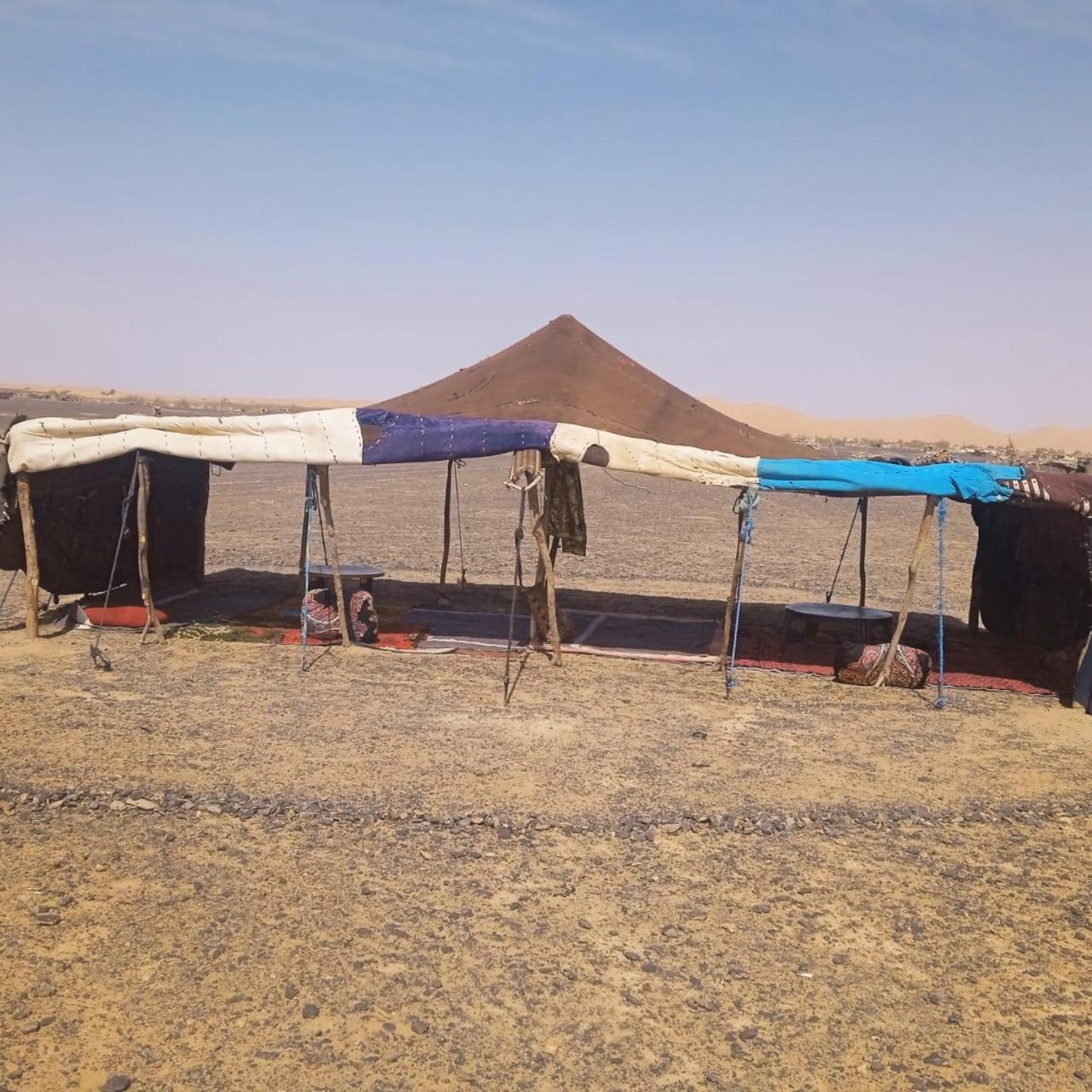 Camels House 2*