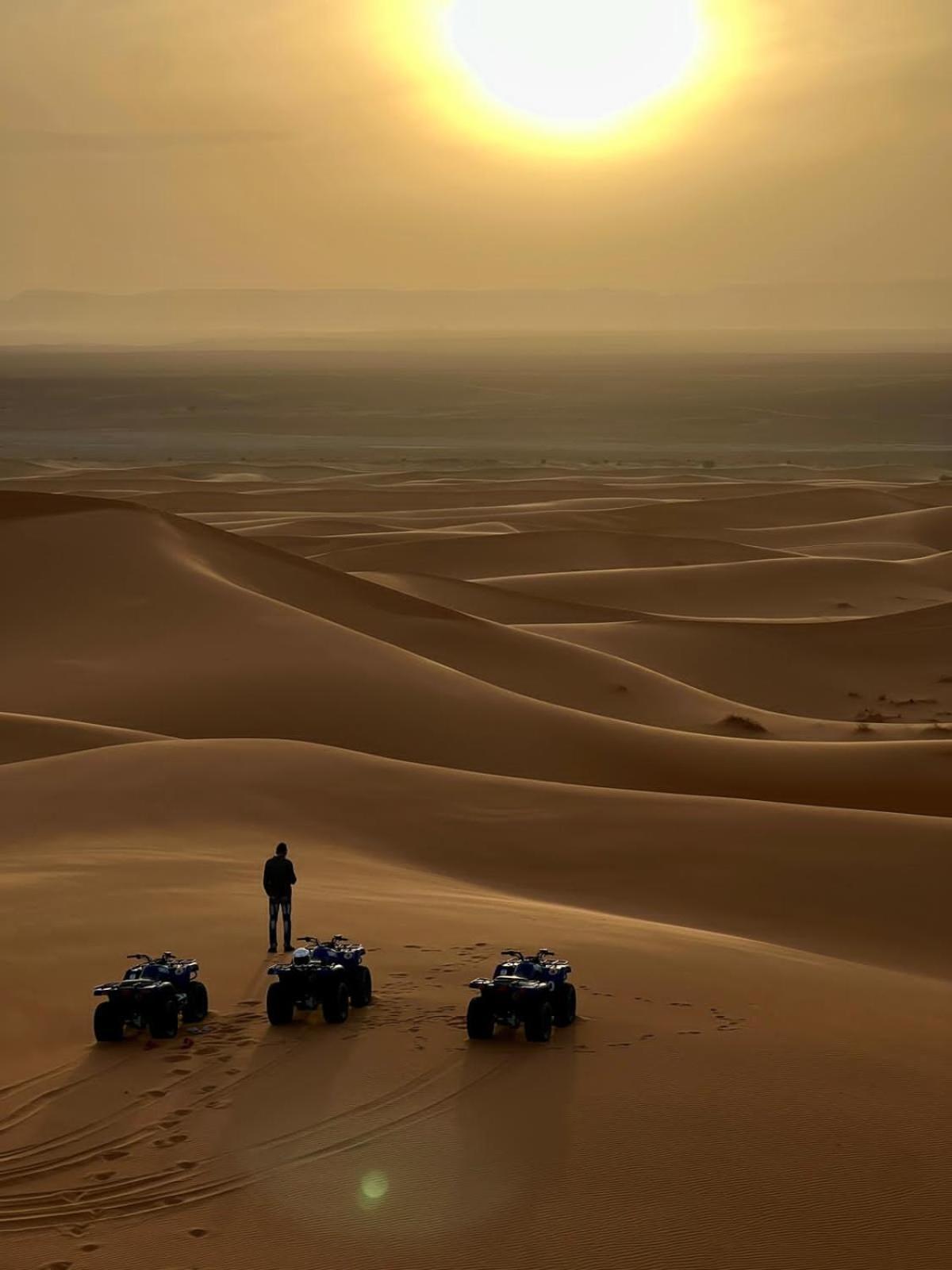 Camels House Hassilabied