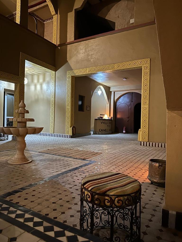 Bed & Breakfast Camels House Hassilabied
