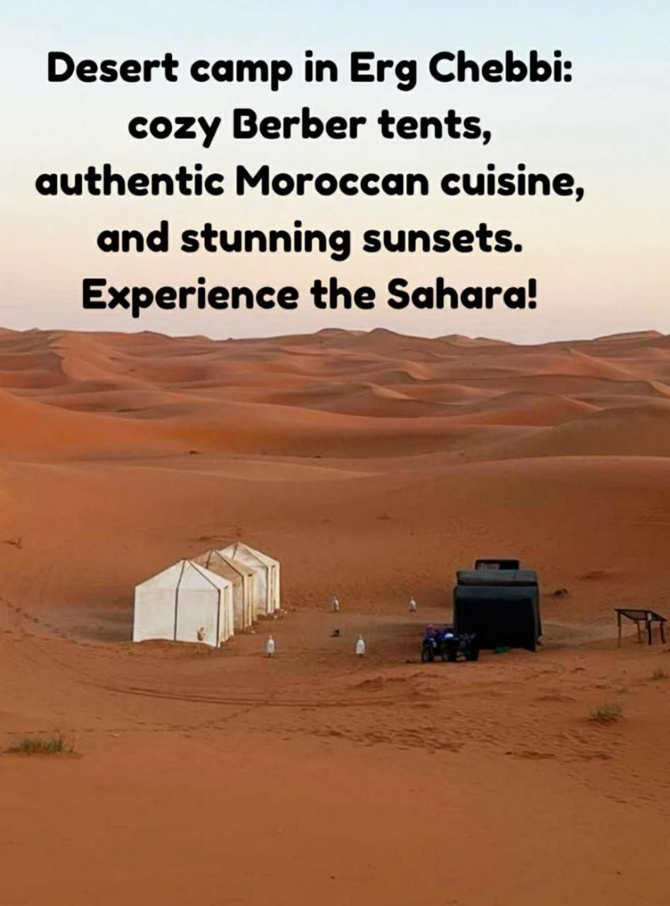 Camels House Hassilabied