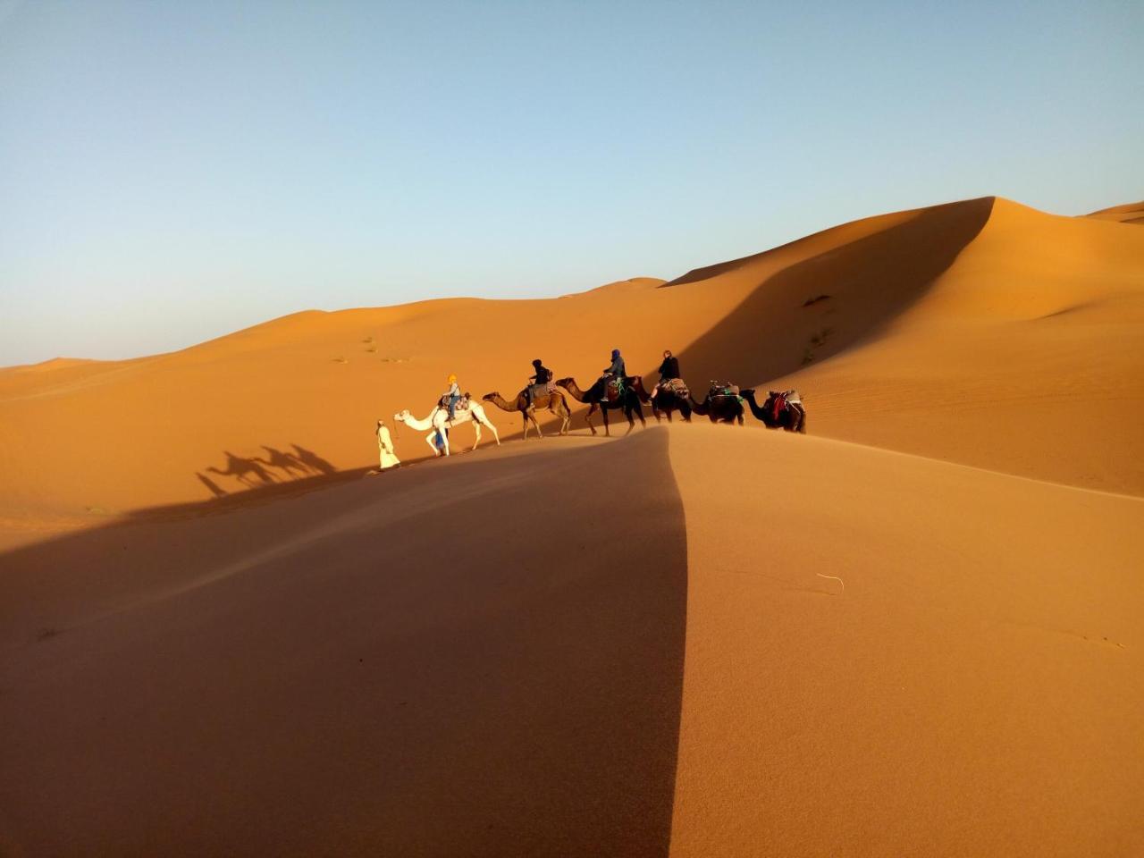 Camels House Hassilabied
